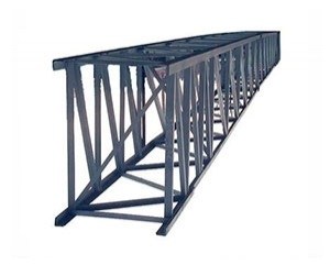 RigeliZhestkihPoperechin